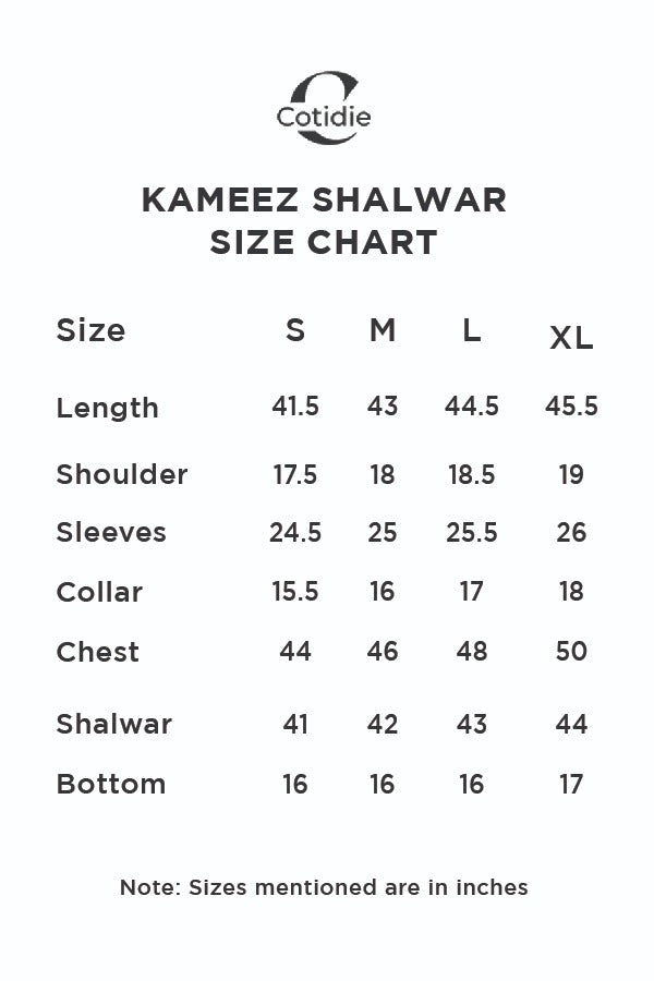 Navy Blue Shalwar Kameez - Cotidie